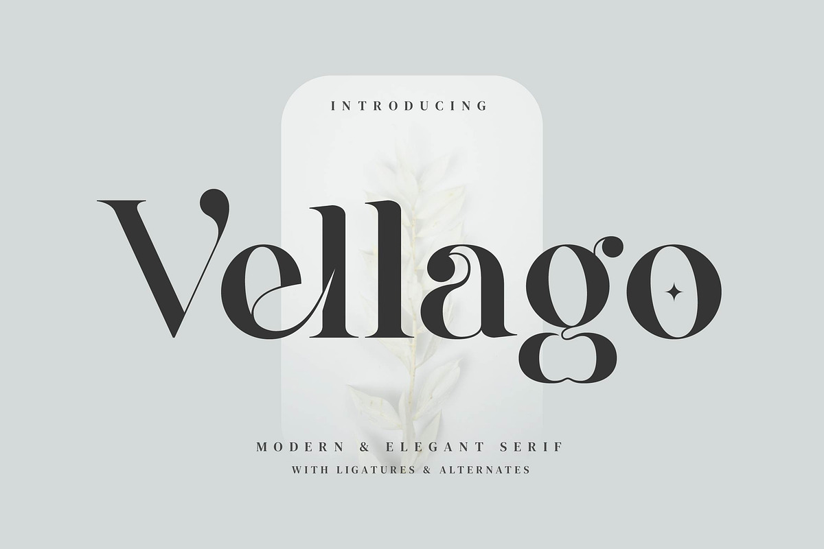 Vellago - Stylish Ligature Font, a Serif Font by Aqeel_Art (Photo 1 of 8)