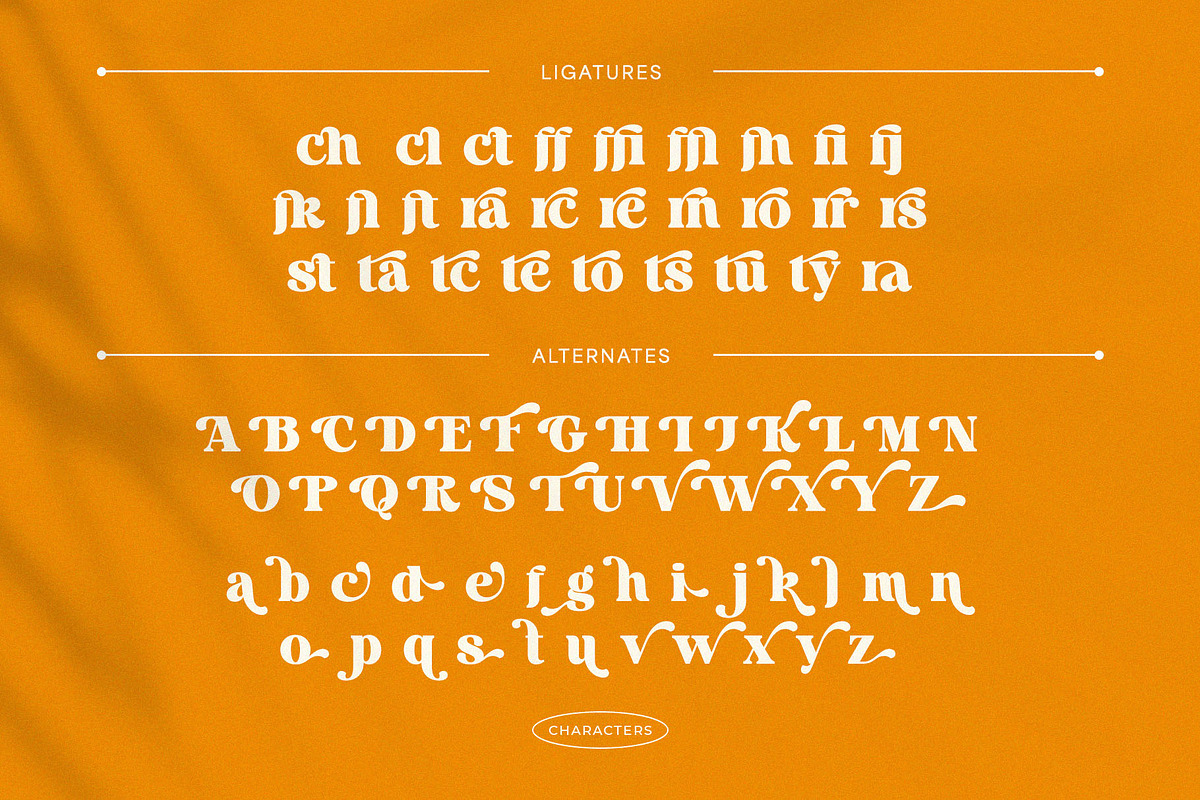 Royal Tomato – Display Retro Serif F, a Serif Font by BrandSemut (Photo 10 of 10)