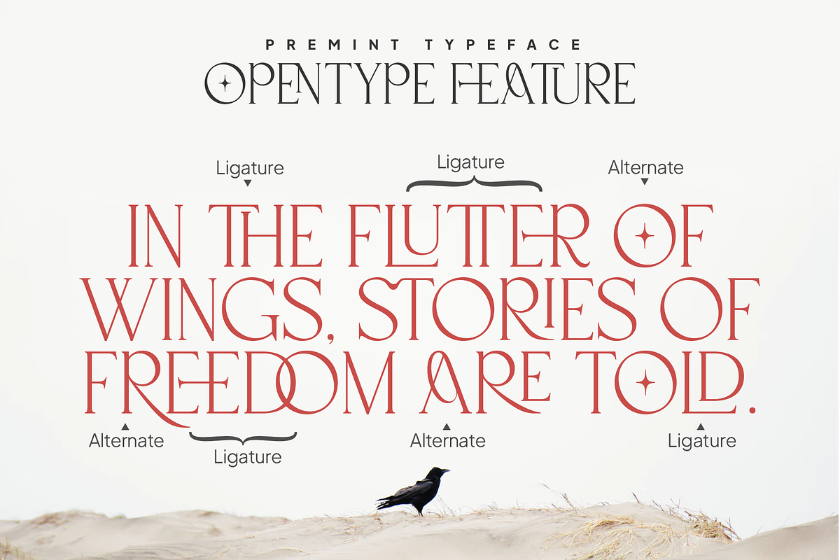 Premint Regular Stylish Serif Font, a Serif Font by Vampstudio (Photo 6 of 13)