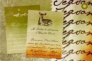 Olive Stories - Nostalgic Ink Script, a Script Font by Setara Langit CreativeStd (Thumbnail 3 of 14)