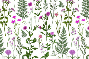 Wild Herbs. Wildflowers Pattern