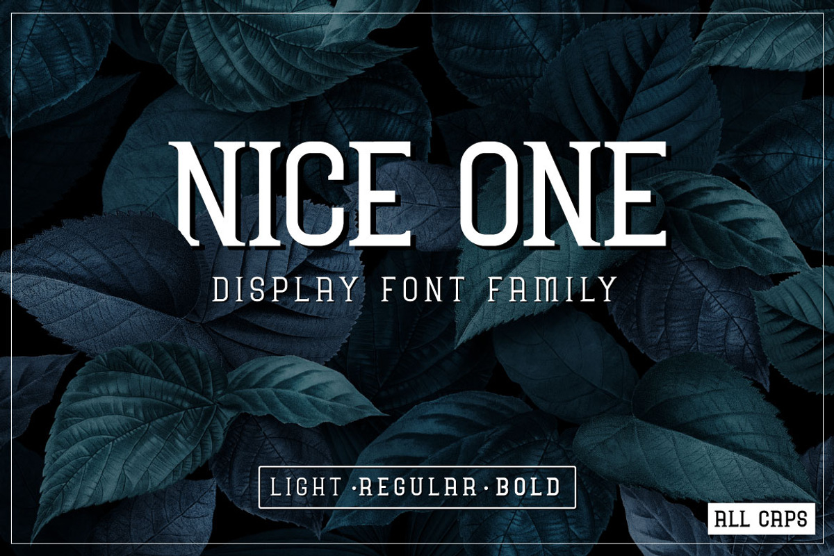 Nice One - Display Font, a Font by Mightyfire (Photo 1 of 3)