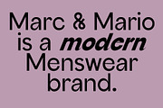 Serious Sans - Modern Typeface, a Sans Serif Font by Tropical Type (Thumbnail 4 of 13)