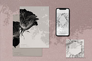 X-Ray Flowers Watercolor, an Object Illustration by Olga Koelsch (Thumbnail 5 of 13)