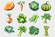 Watercolor Vegetables Clipart, a Seasonal Illustration by Design Market (Thumbnail 5 of 5)