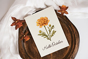 Birth Month Flower Clipart Bundle, an Illustration by PaintPixelCo (Thumbnail 3 of 14)