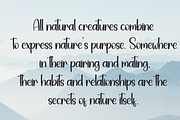 Capital | Script Font, a Handwritten Font by Scratchones (Thumbnail 6 of 9)