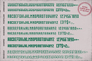 Sanctum Font Pack, a Serif Font by Type Box (Thumbnail 8 of 9)