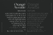 Orange Avenue | Ligature Serif Font, a Serif Font by Krismagraph (Thumbnail 7 of 12)