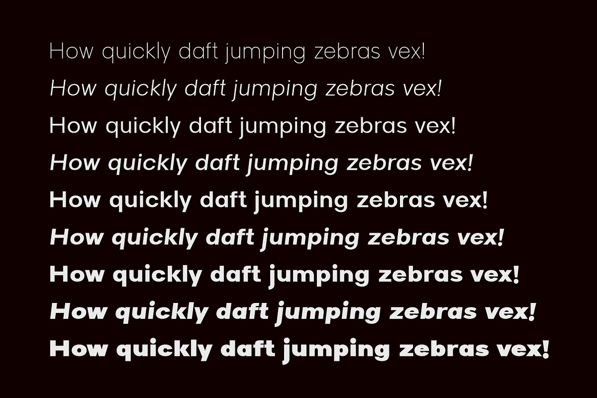 Raela – Modern Geometric Sans, a Sans Serif Font by Lettertype Studio (Photo 3 of 10)
