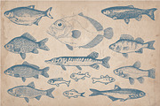 58 Vintage Hand Drawn Fish, a Food Illustration by Mr Vintage (Thumbnail 5 of 5)