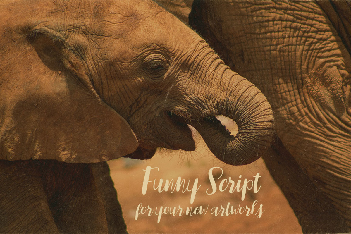 Sidebook Script Font preview 2