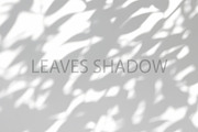 Leaves Shadow on Wall Background., a Background Graphic by kaisorn (Thumbnail 4 of 8)