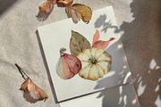 Autumn Time 2. Watercolor collection, a Decorative Illustration by Elena Medvedeva (Thumbnail 12 of 14)