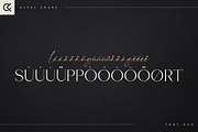 Alpas & Snarf font duo, a Font by Only Fonts (Thumbnail 10 of 11)