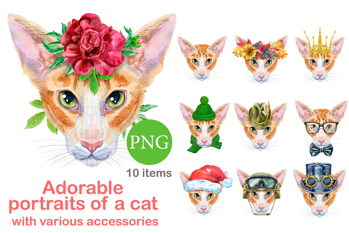 Portraits of oriental cat, an Animal Illustration by Watercolor fantasy (Photo 1 of 6)