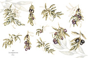 Watercolor Olives collection, a Graphic by MayaNavits (Thumbnail 4 of 25)