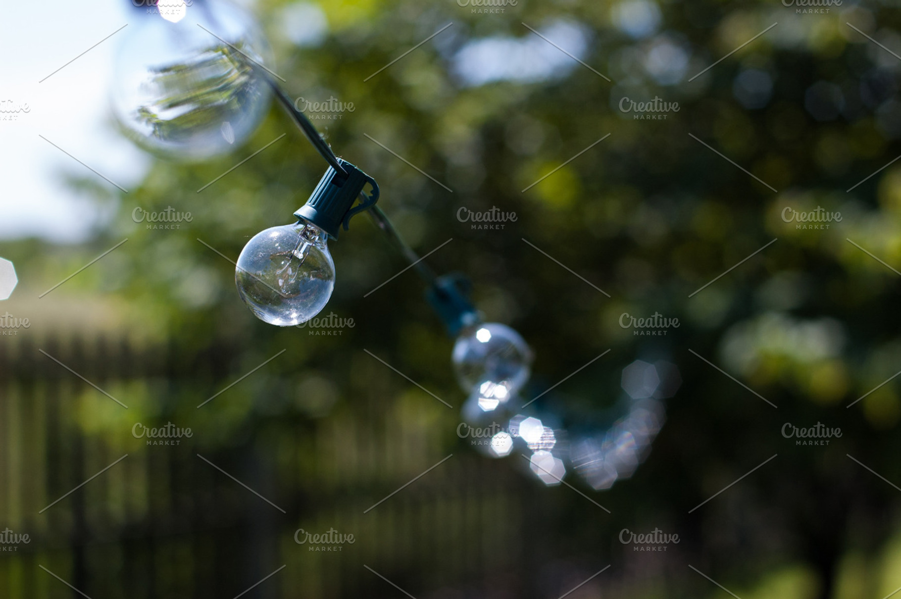 Backyard Lights