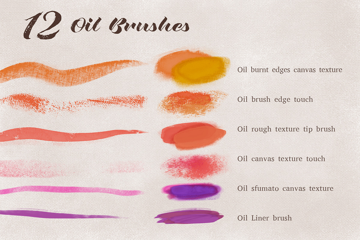 Procreate Oil and Acrylic Brushes, a Brush Add-On by Michal Design (Photo 3 of 10)