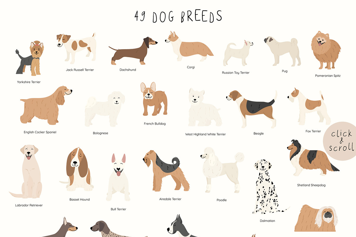 DOG Breeds collection, an Animal Illustration by Alisovna (Photo 2 of 14)