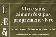 Callgest Display Font - 3 Styles, a Serif Font by Martype Co (Thumbnail 10 of 14)