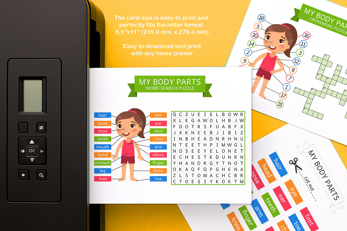 My Body Parts Printable worksheets preview 3