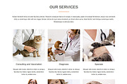 Pet Veterinary, a Bootstrap Template by VALIASOLUTION SHOP (Thumbnail 3 of 7)