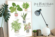 House Plants Collection Set II, a Graphic by SmallHouseBigPony (Thumbnail 18 of 21)