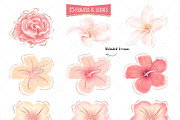 Tropical Flowers & Flamingos ClipArt, an Illustration by Pretty Little Lines (Thumbnail 14 of 15)