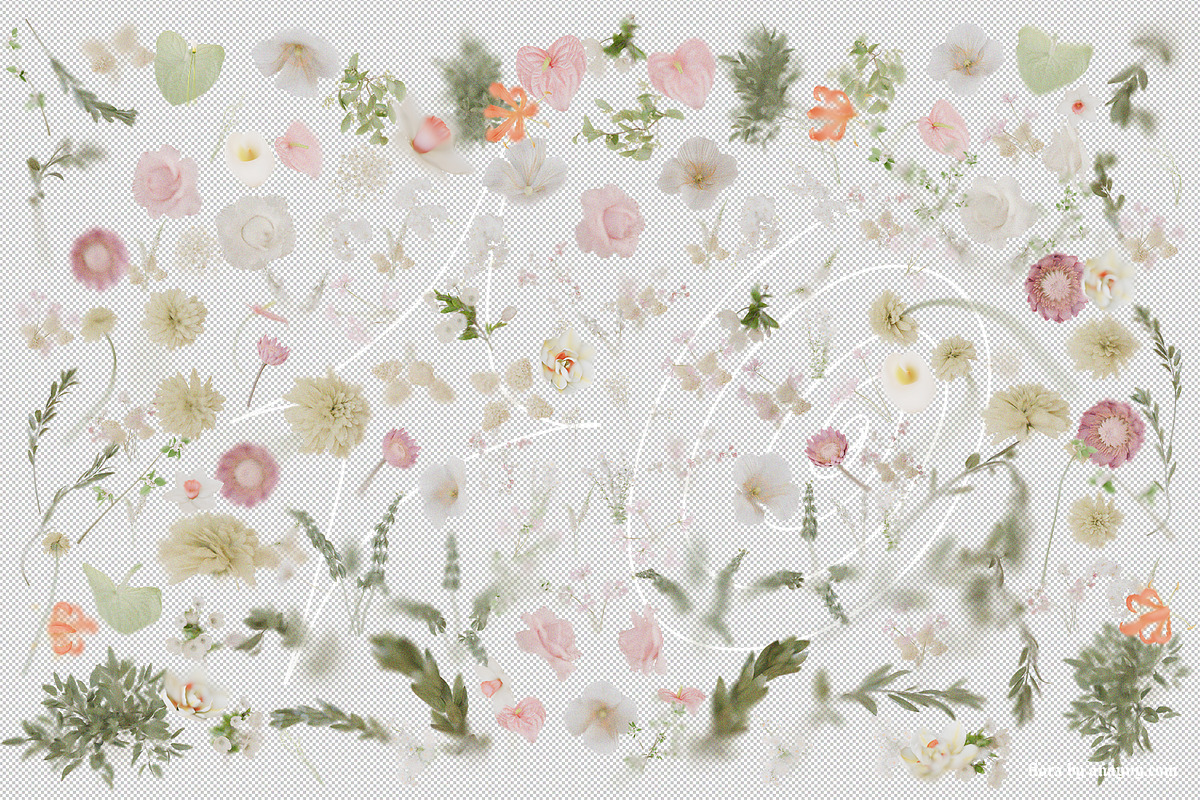 FLORA.PNG | Blurry Flower Collage, an Object Graphic by ana & yvy (Photo 23 of 23)