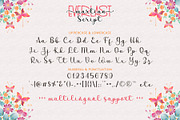 Everlast Martina - Handwritten Duo, a Script Font by Airotype (Thumbnail 9 of 12)