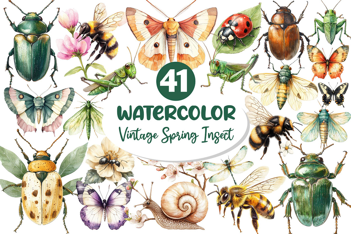 Vintage Spring Insect Clipart, an Illustration by Dream Creation (Photo 1 of 7)