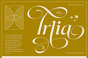 Dh Irlia - 7 Fashion Swash Family, a Serif Font by Dharmas Foundry (Thumbnail 1 of 19)