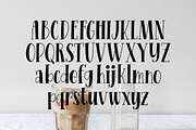 Milk Coffee - Casual Serif Font, a Serif Font by AQR Studio (Thumbnail 3 of 10)