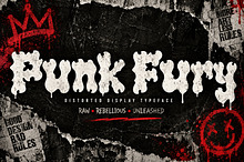 Punk Fury