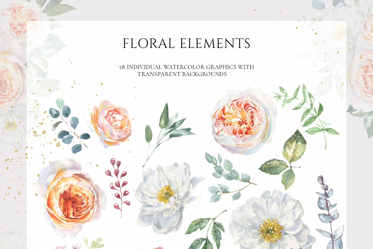 Watercolor Botanical Florals, a Decorative Illustration by Catherine Wheel (Photo 15 of 43)