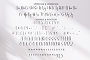 Stylish Handwritten | Script Font, a Handwritten Font by Scratchones (Thumbnail 7 of 8)
