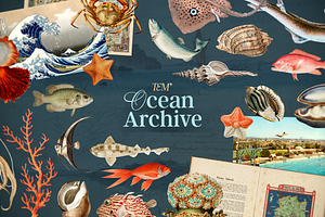 Oceanic Archive Sea Elements Bundle