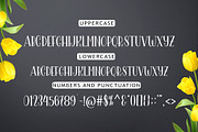 The Yolanda Font Duo, a Script Font by Madjack.font (Thumbnail 8 of 9)