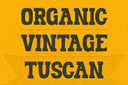 Varqogen, a Slab Serif Font by graphicook (Thumbnail 3 of 10)