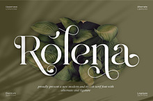 Rolena || Modern Serif Font