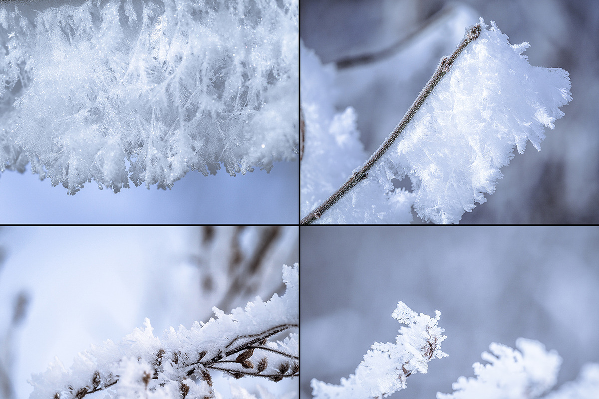 Frozen morning bundle /77pics, a Background Graphic by tydla (Photo 4 of 12)