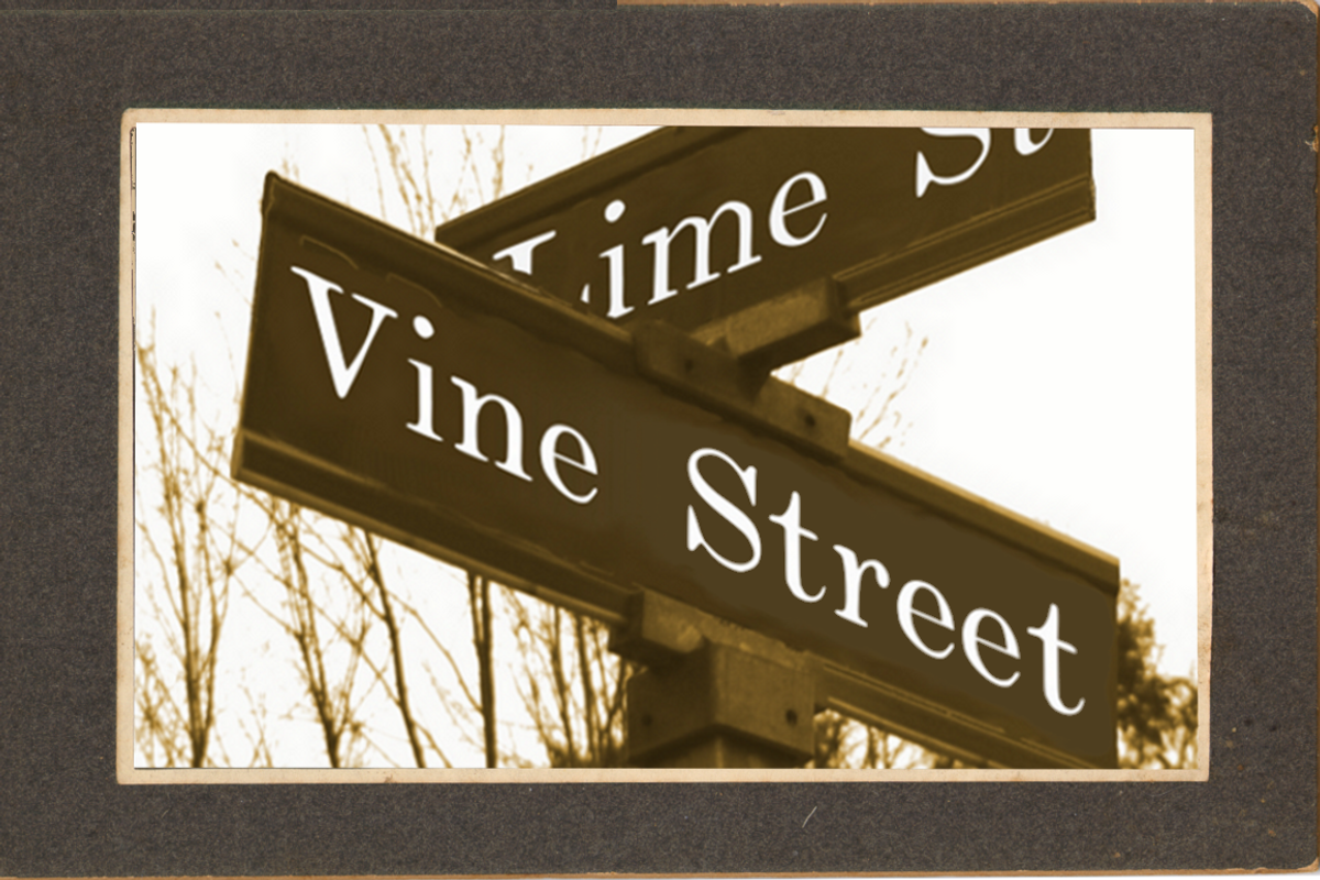Vine Street, a Serif Font by Proportional Lime