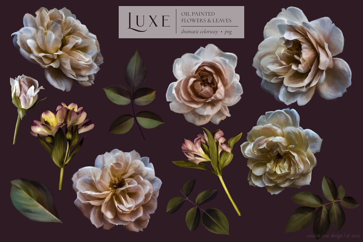 Luxe Oil Paint Floral Graphics, an Illustration by Eclectic Anthology (Photo 6 of 17)