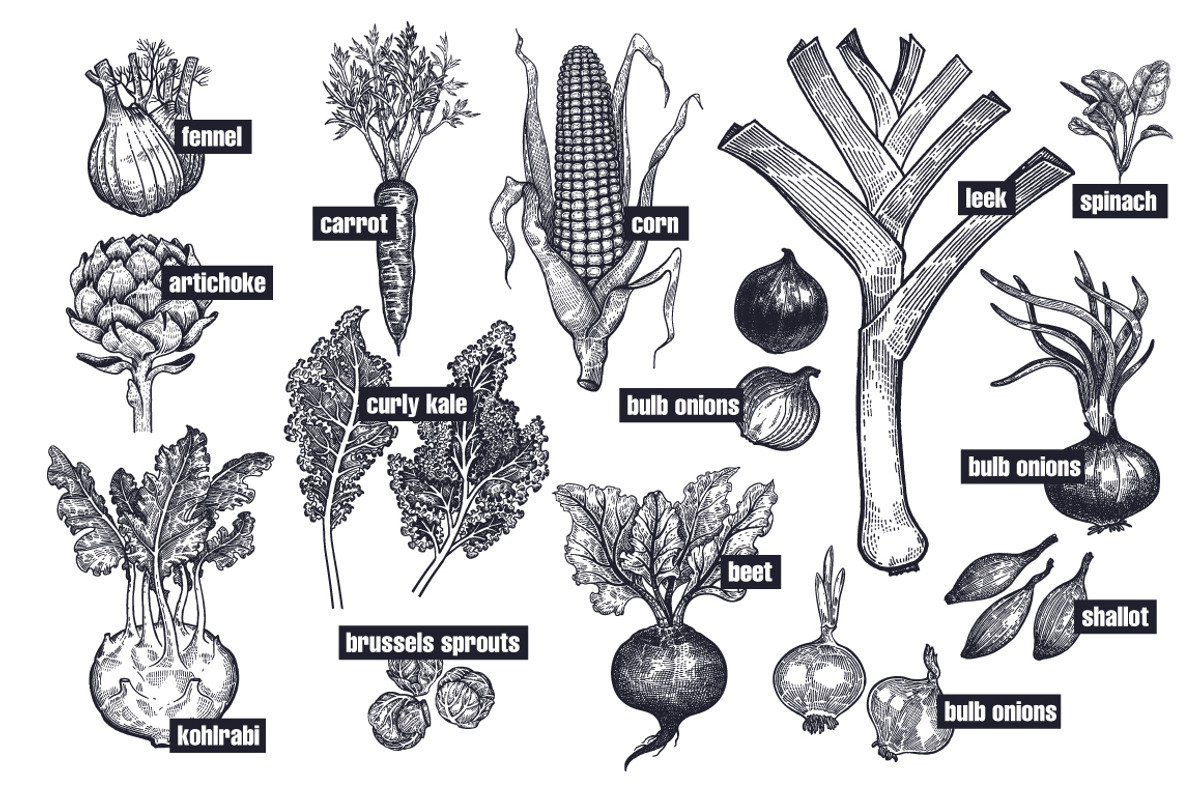 Vegetables and mushrooms., a Food Illustration by MarinaVorontsova (Photo 4 of 10)