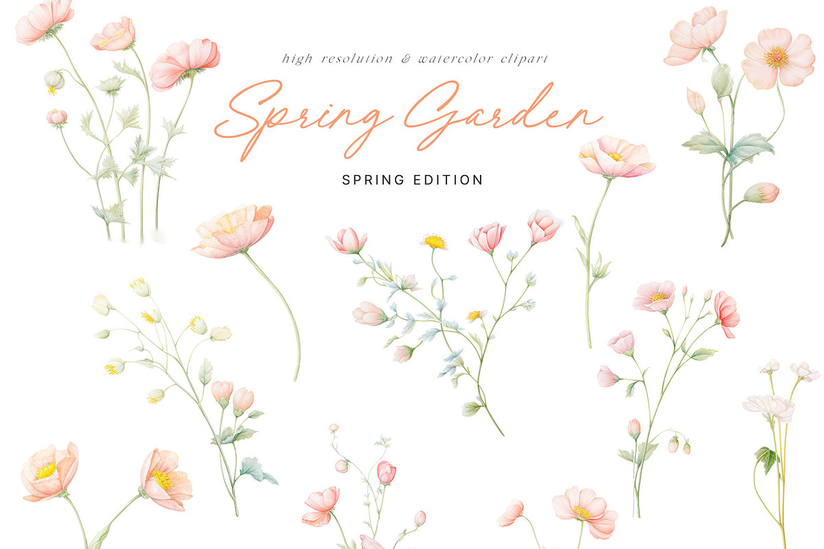Spring Gardens - Watercolor Edition, an Object Illustration by Isabelle Salem (Photo 6 of 12)