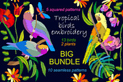 Tropical Birds. Big Embroidered Set, an Object Graphic by Svetlana Kononova (Thumbnail 3 of 3)