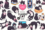 Tuxedo Cat Clipart Bundle, an Animal Illustration by Victoruler (Thumbnail 1 of 9)
