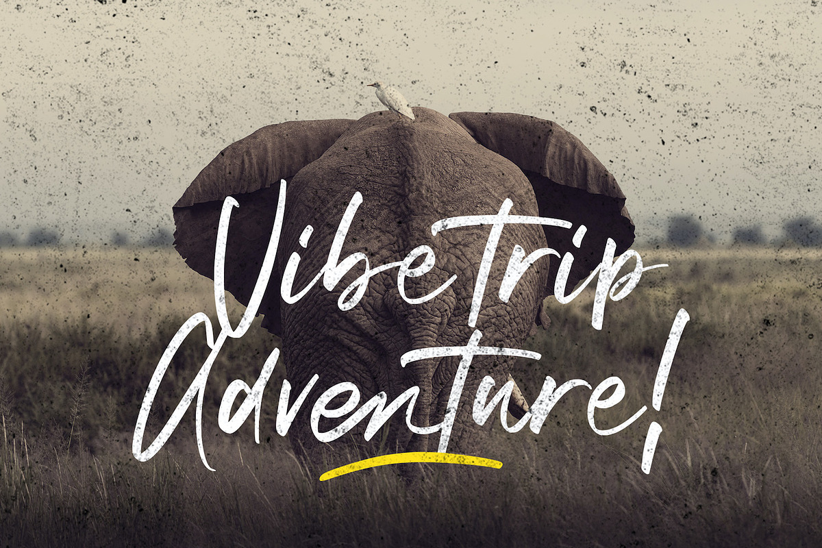 Winsthen - Handwritten Font, a Script Font by StringLabs (Photo 2 of 13)