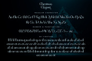 Christmas Elegant, a Serif Font by Letterara (Thumbnail 8 of 10)